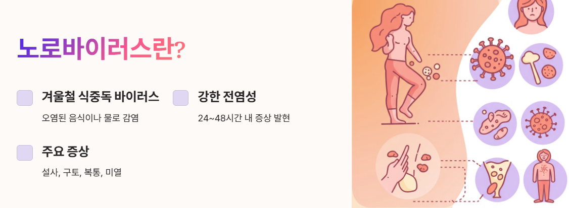 노로바이러스 설명