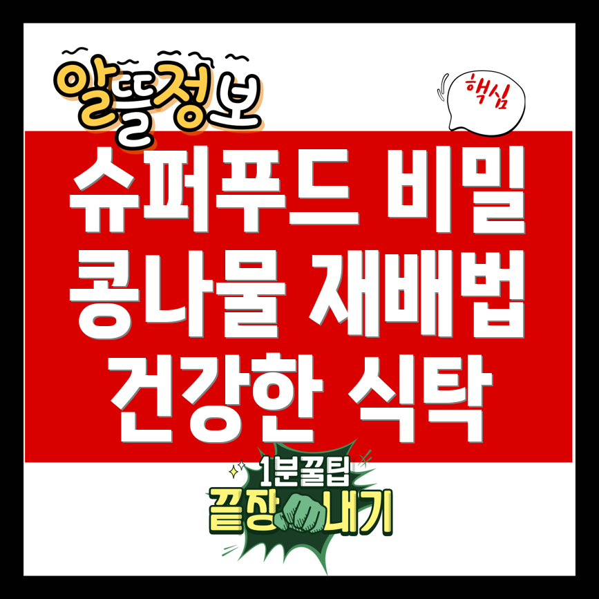 콩나물