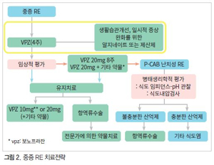 역류성식도염증상