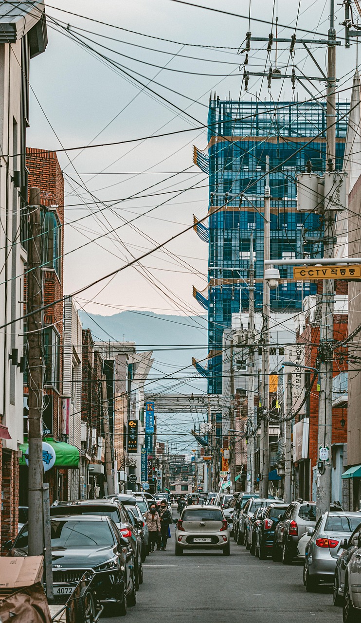 대구 관련 사진