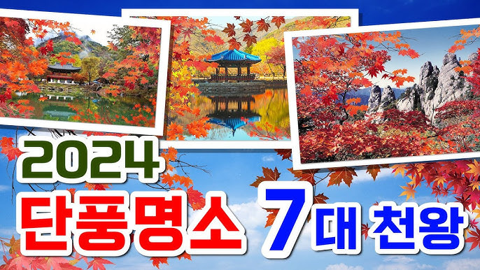 2024 가을 단풍 명소 7곳 소개