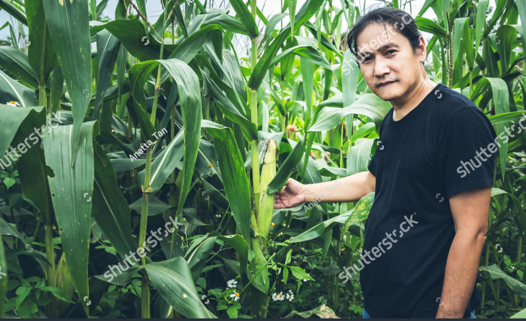 50대 은퇴 후 귀촌 계획자의 농지&middot;임야 취득세 절감 체크포인트