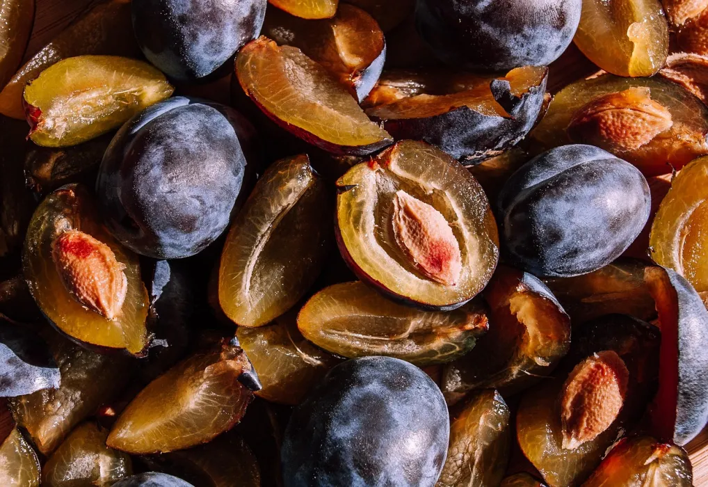 말린-자두-푸룬