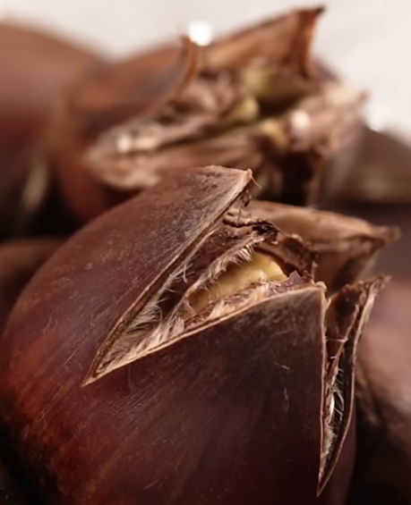 삶은 밤 쉽게 까는 꿀팁 - 전자렌지 사용