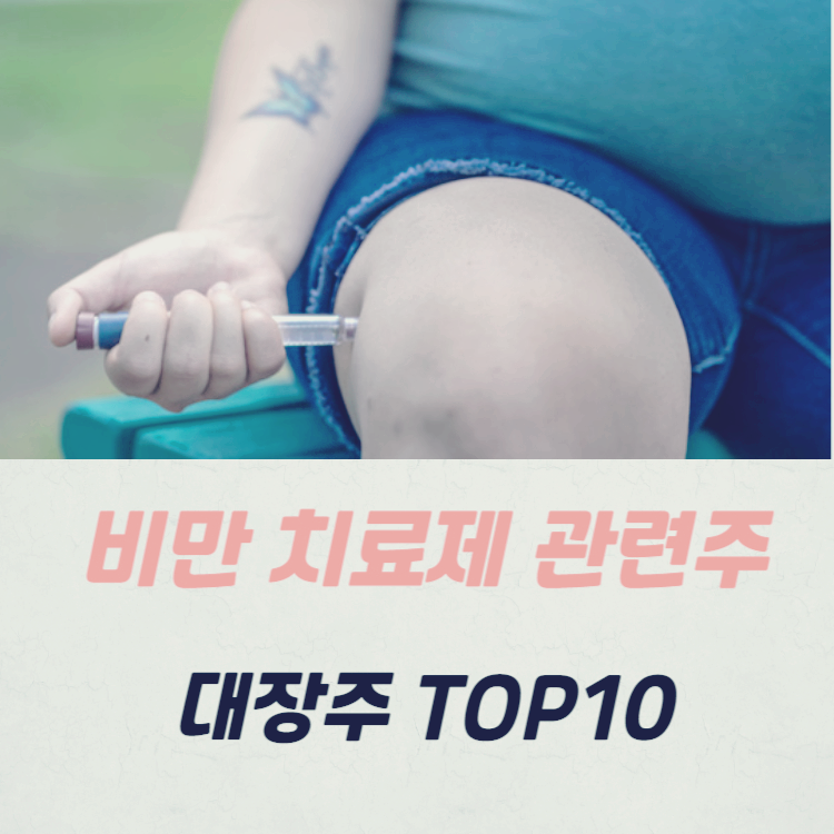 비만 치료제 관련주 대장주 TOP10