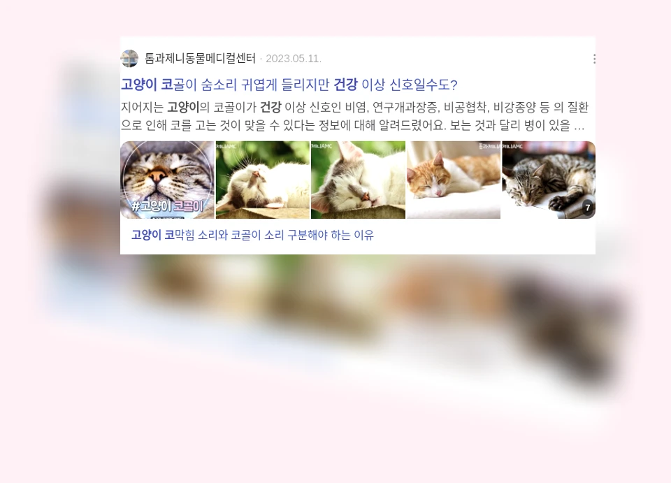 고양이 코 건강_3_subsection