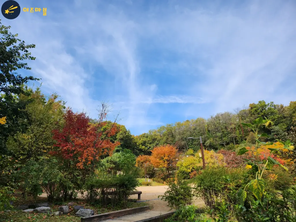 혼자 보기 아까운 가을 단풍