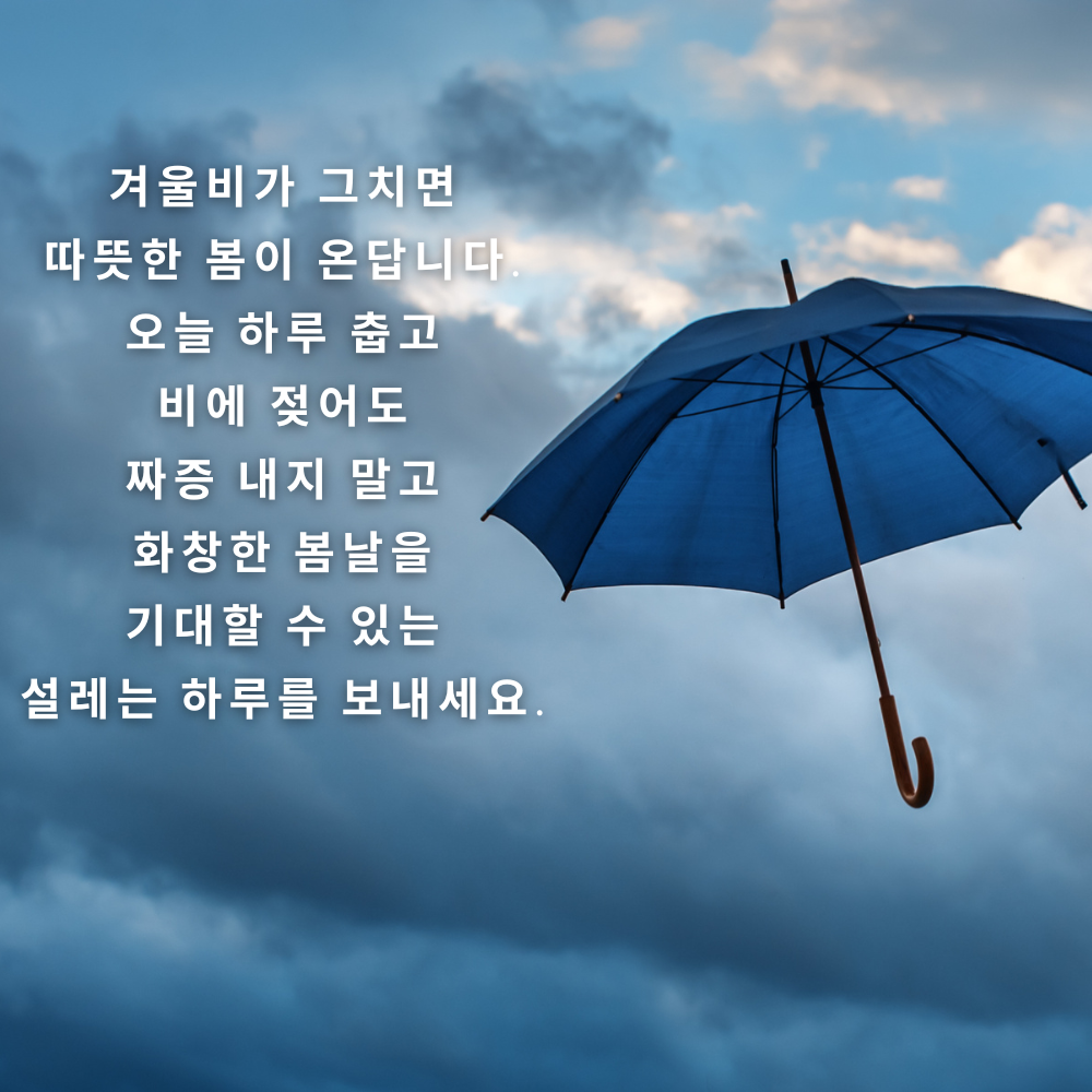 겨울비 오는날 인사말 이미지