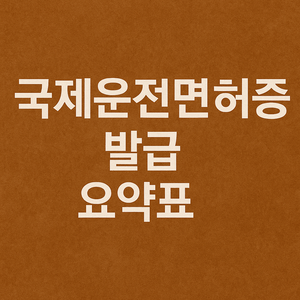 국제운전면허증 발급 요약표