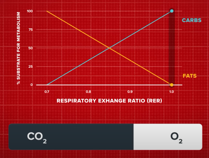 Substrate for metabolism(신진대사 기질)&#44; Respiratory Exchange Ratio 호흡교환비율(RER)&#44; CARBS 탄수화물&#44; FATS 지방