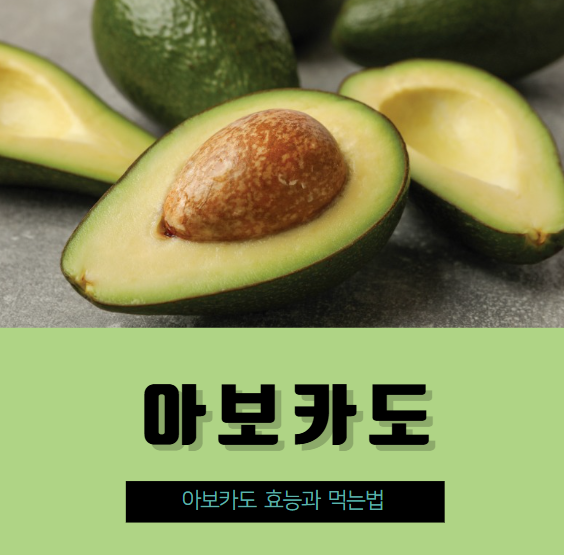 아보카도 효능과 아보카도 먹는법! 아보카도 고르는 방법