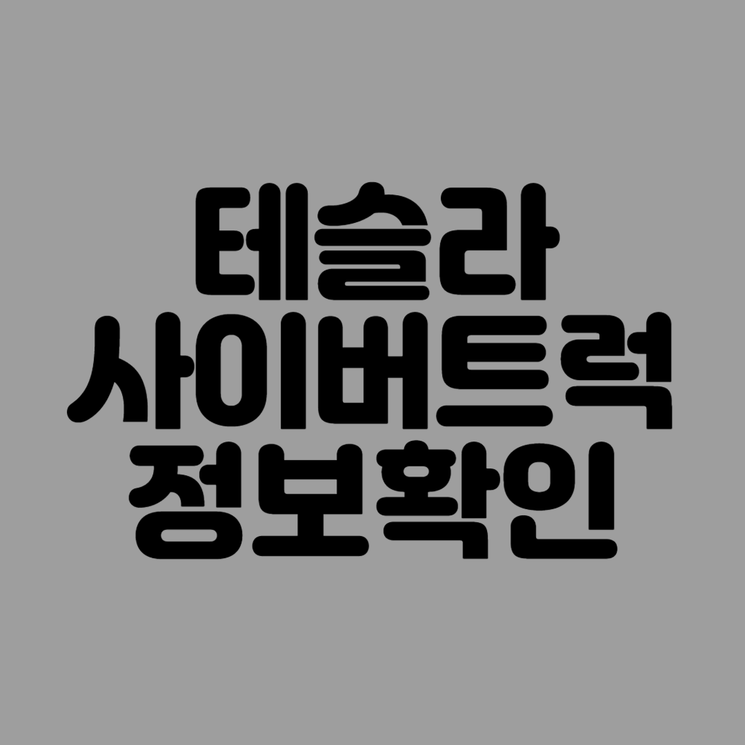 테슬라 전기차 사이버트럭