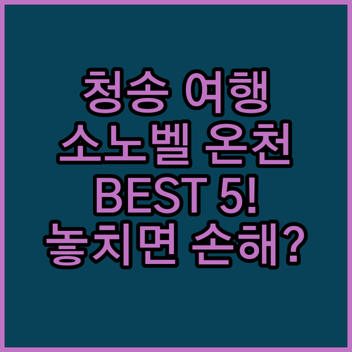 경북 청송 여행 숙박 베스트 5 소노..