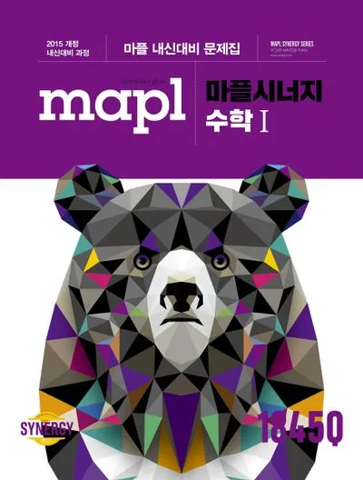 2025 마플시너지 공통수학2 책소개 교재리뷰 답지 모음집_1