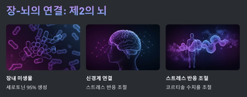 장-뇌의 연결 ppt 이미지