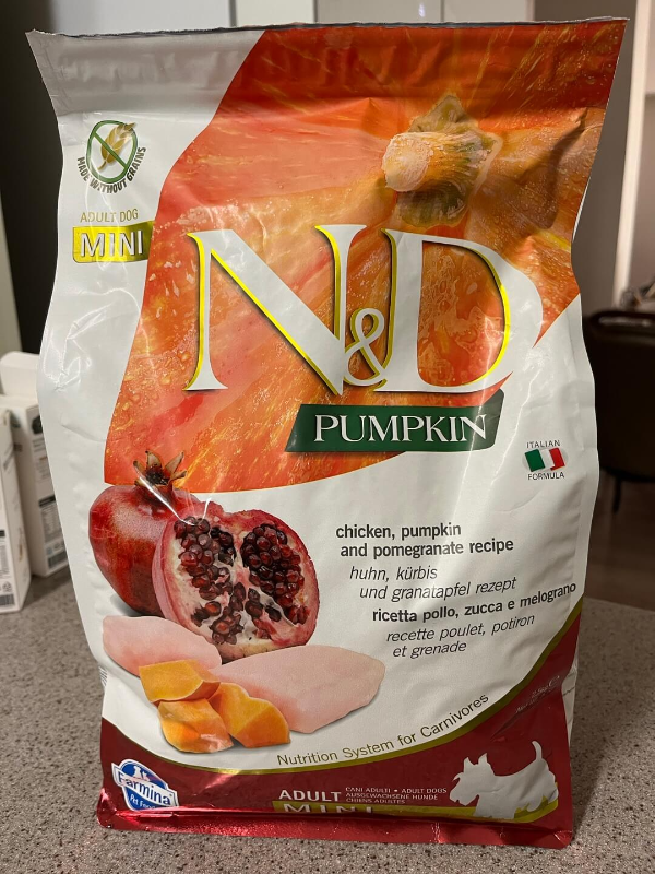 파미나_사료_리뷰