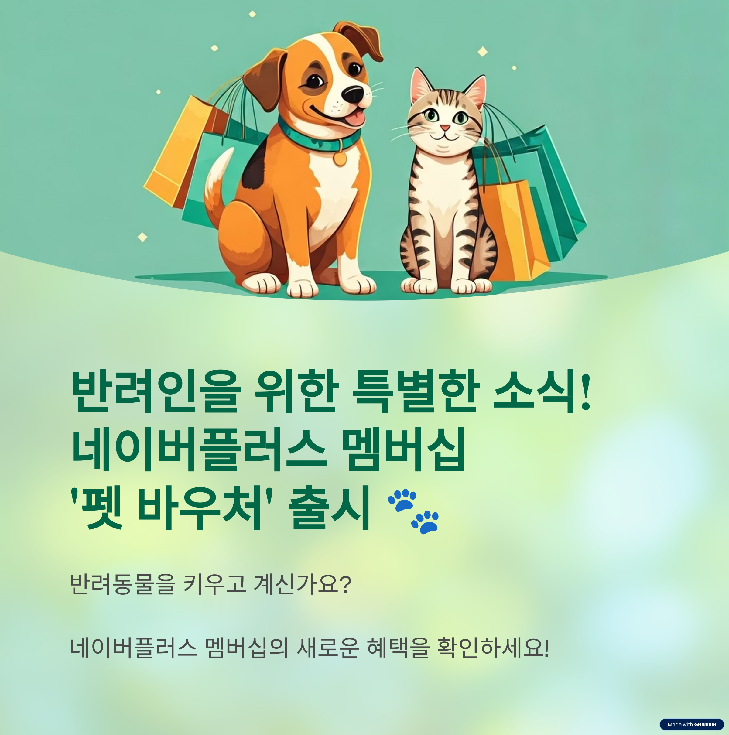 네이버플러스 멤버십 신규 혜택 펫 바우처 출시 안내 - 반려인들을 위한 특별한 혜택!