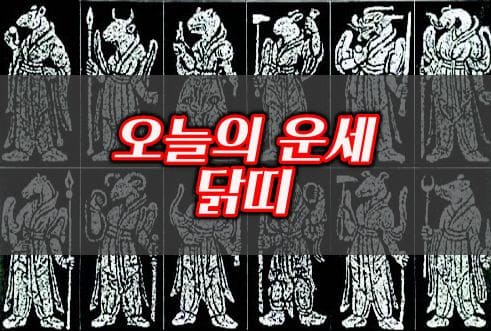 오늘의운세-닭띠