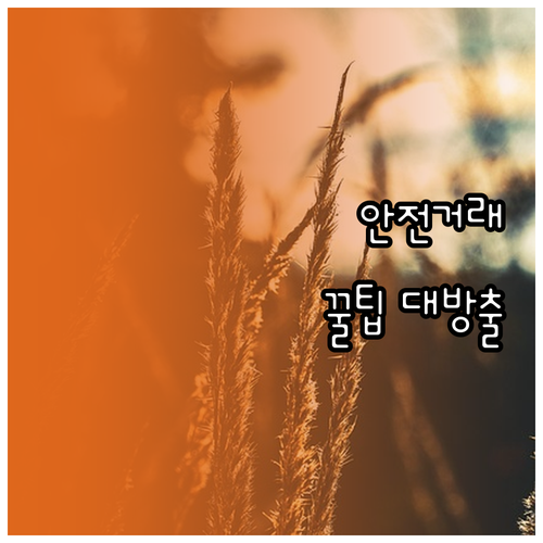 중고폰 안전 거래 완전 정복: 개인 ..