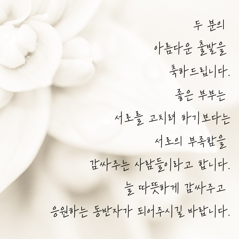 결혼축하 메세지 문구 이미지 글 모음