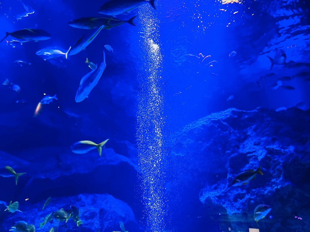 Aqua World