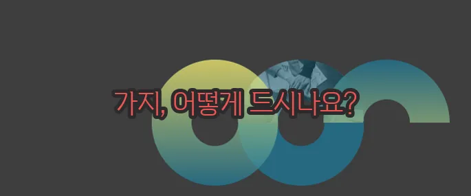 가지 효능 부작용 섭취방법 알아볼게요