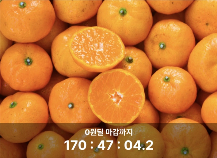 비트버니 0원딜