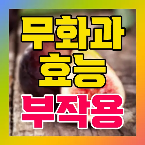 무화과 효능 부작용