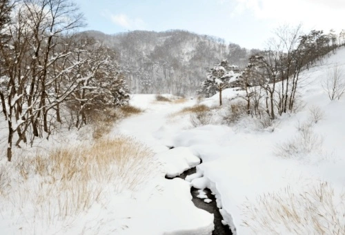 대관령-하늘목장-설경1