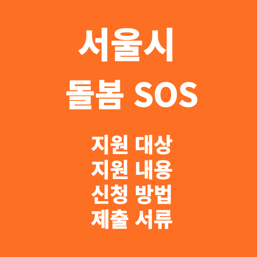 서울시 돌봄 SOS 지원