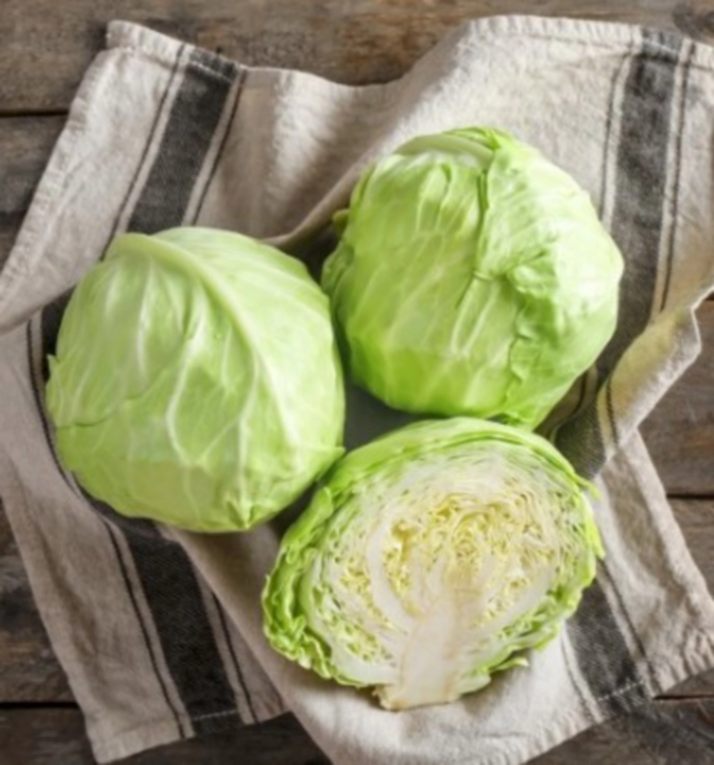 찐 양배추 효능