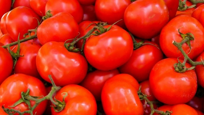 토마토, 그냥 먹으면 효과 없다? 가열해서 드세요!