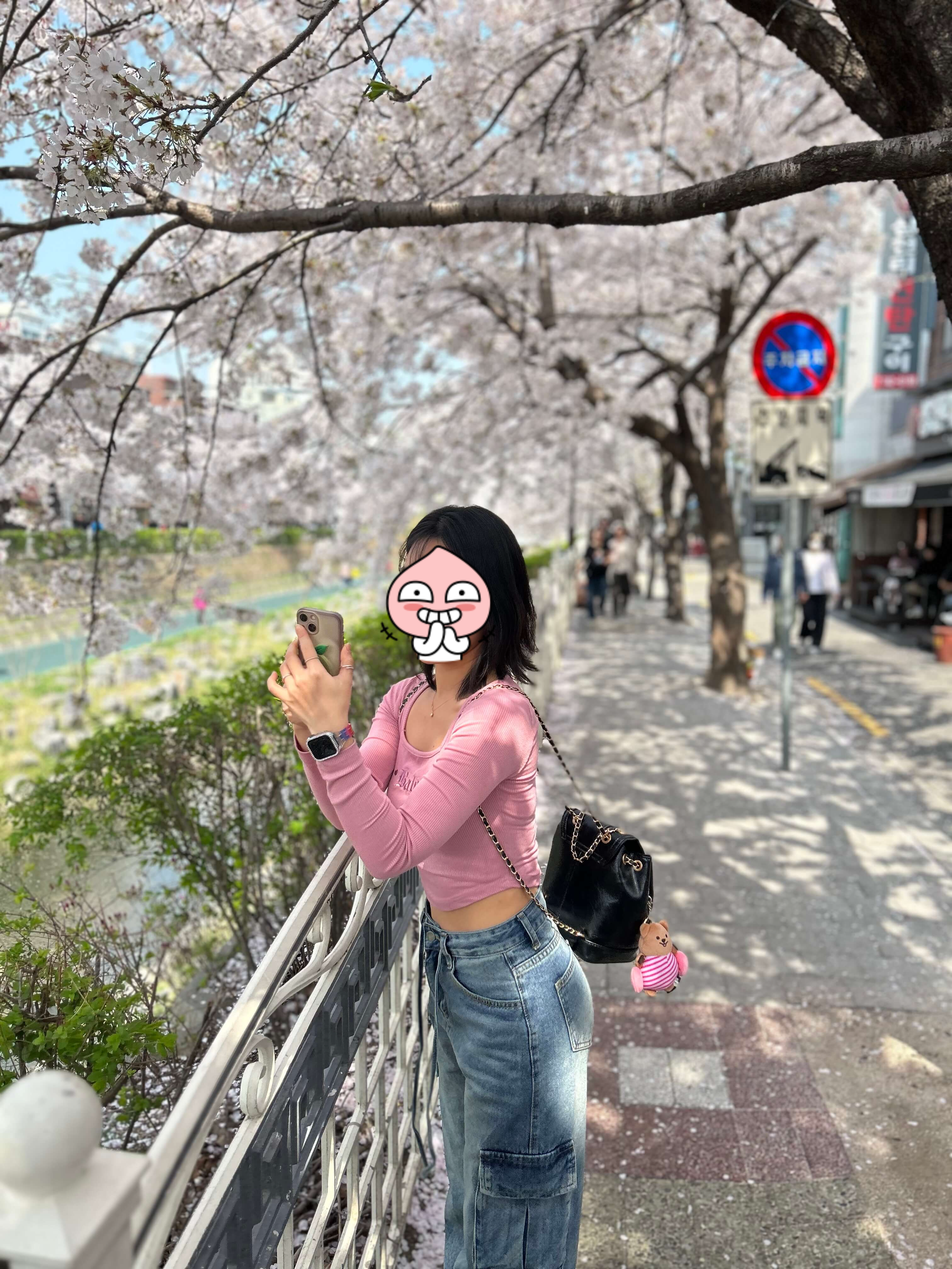 서울시내벚꽃명소 성북천에서 벚꽃놀이