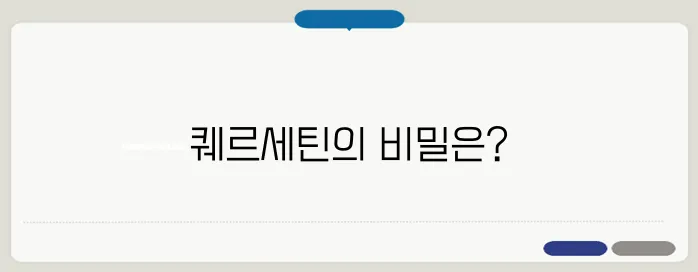 퀘르세틴 효능 & 항산화 효과 (양파 & 사과에 많은 이유?)