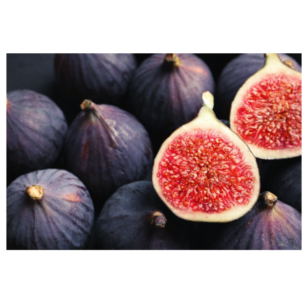 무화과와 관련된 사진입니다.