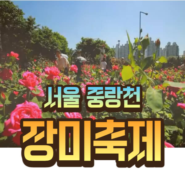 서울 중창천 장미축제