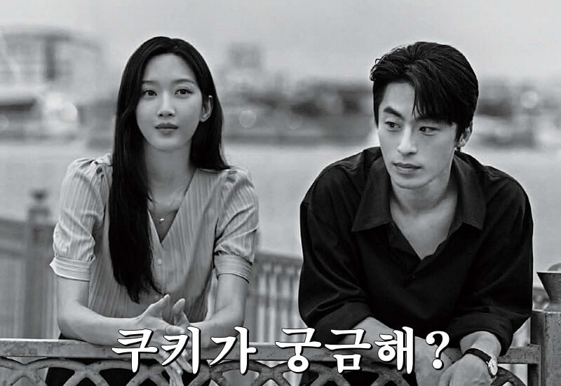 만약에 우리 쿠키 있나?|결말과 손익분기점까지 한 번에 정리