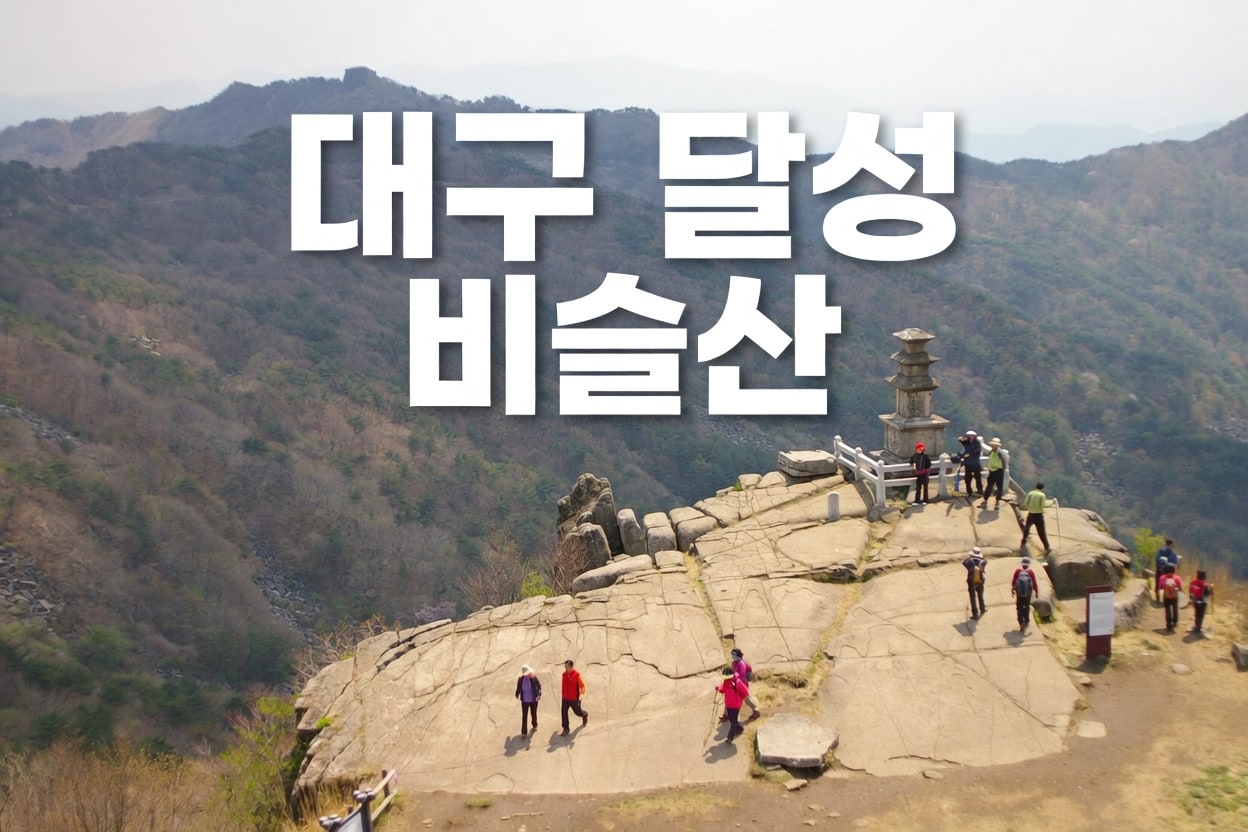 대구 달성 비슬산 참꽃 시간 교통 투어