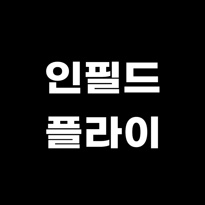 검정색 배경에 인필드 플라이라고 적힌 썸네일