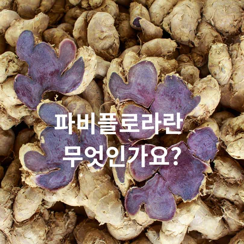 파비플로라 효능과 부작용 총정리! 다이어트에 정말 효과 있을까?