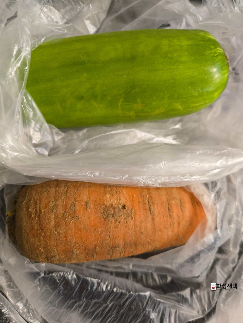 유아식-잔치국수