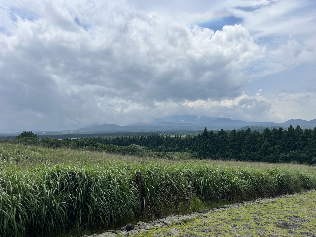 산굼부리-분화구-가는-길-뒷모습