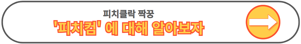 피치클락 경고 위반 뜻