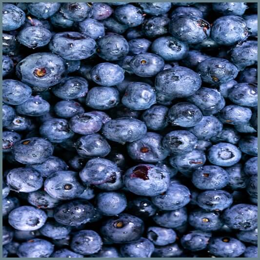 블루베리-부작용-주의사항