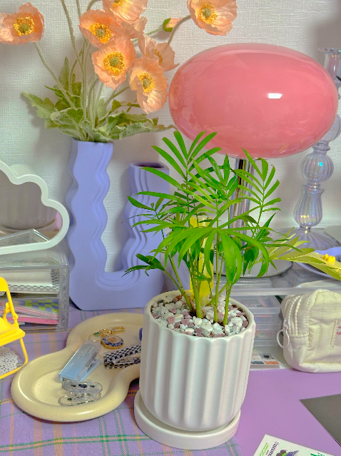 테이블 야자 가지치기