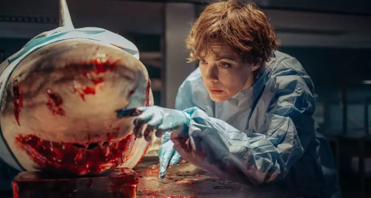 새끼상어 조사하는 소피아