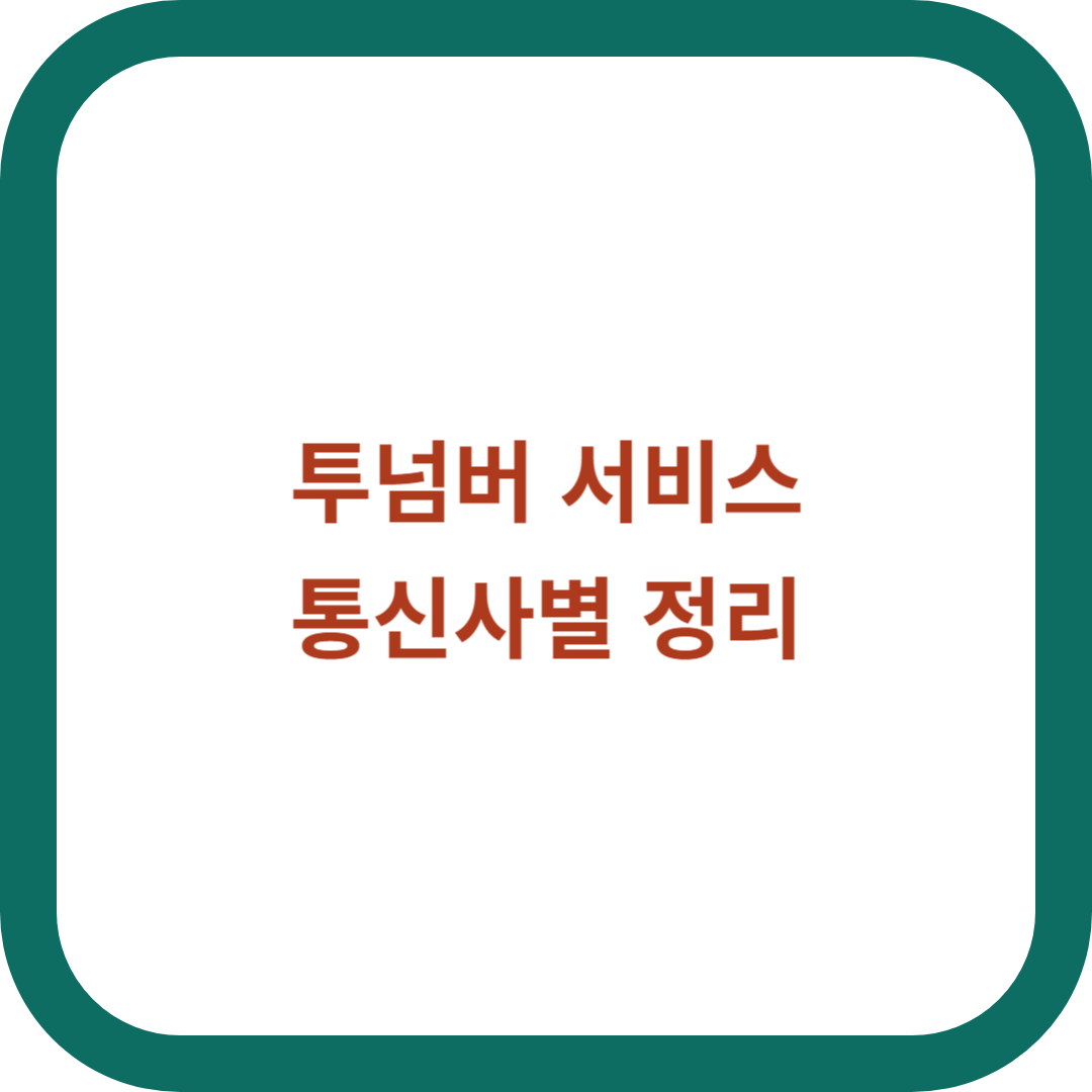 투넘버-서비스
