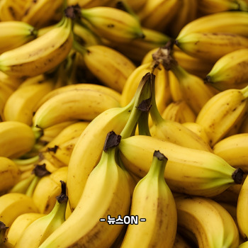 마그네슘이 풍부한 음식 