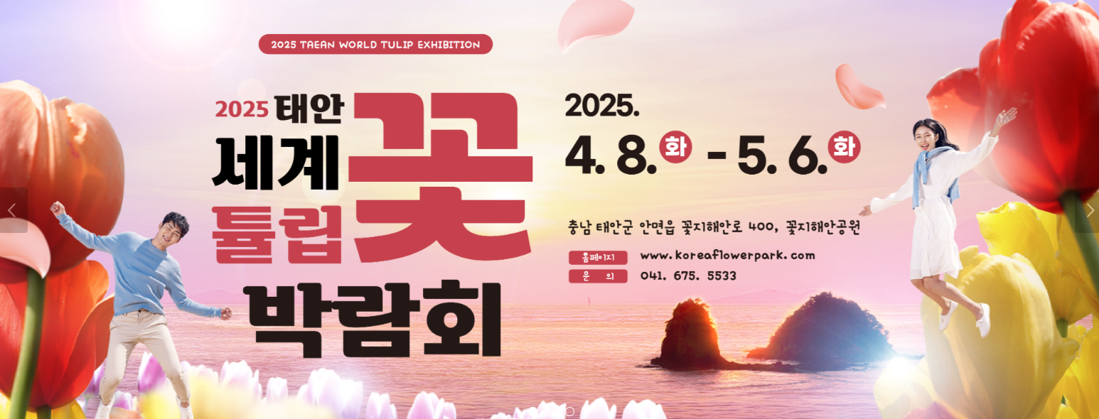 2025 태안 튤립축제