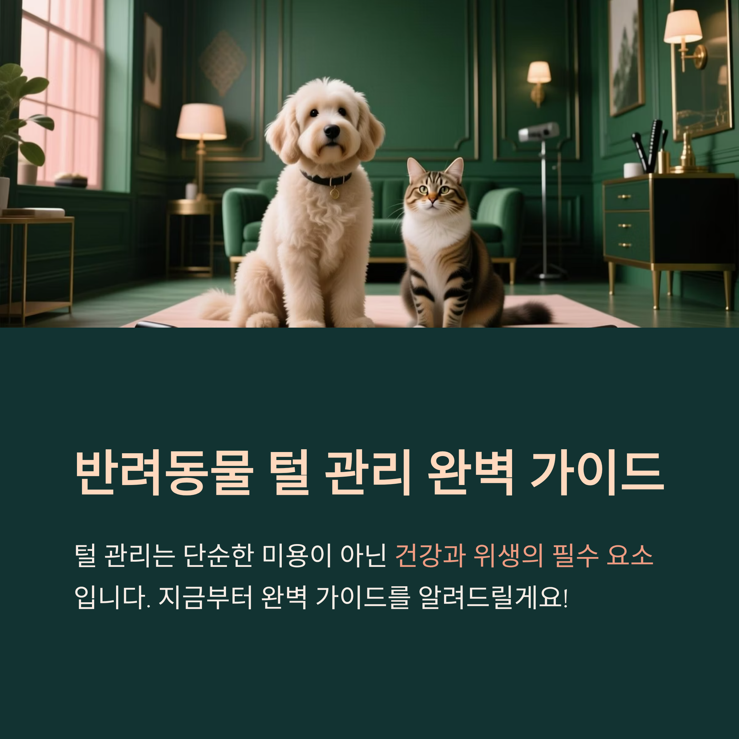 반려동물 털 관리 완벽 가이드